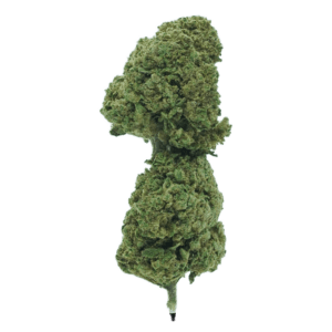 Fruit Cake "CBD" - "Fotoperiodo Feminizada" - Gold Farm Seed