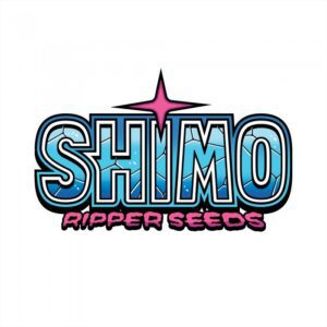 Shimo - “Fotoperiodo Feminizada” Pack 3uni – Ripper Seeds