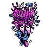 Sour Ripper – “Fotoperiodo Feminizada” Pack 3uni – Ripper Seeds
