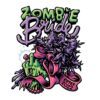 Zombie Bride - “Fotoperiodo Feminizada” Pack 3uni – Ripper Seeds