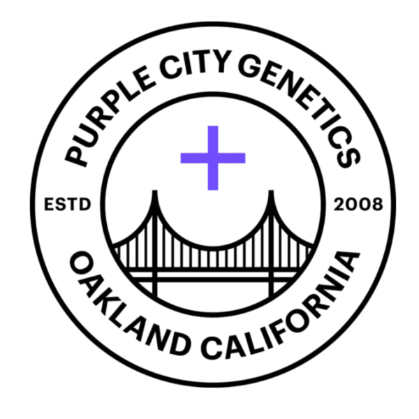 Fez -  “Fotoperiodo Feminizada” – Purple City Genetics - "El Krem Collection" - Imagem 2
