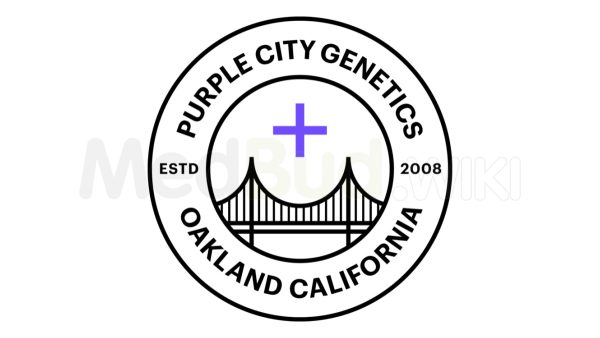 Space Station — “Fotoperiodo Feminizada” - Purple City Genetics (American Graffiti Collection) - Imagem 2